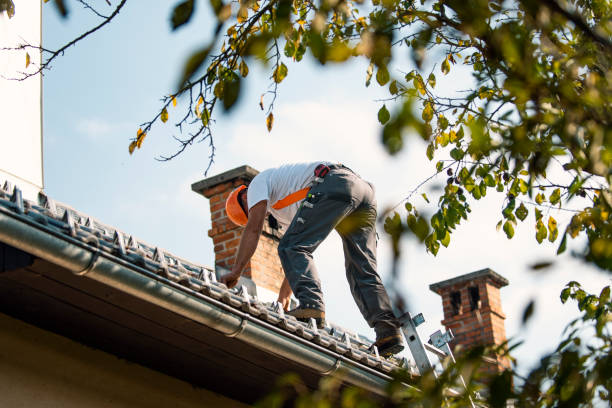 Best Flat Roof Repair Services  in Mill Plain, CT