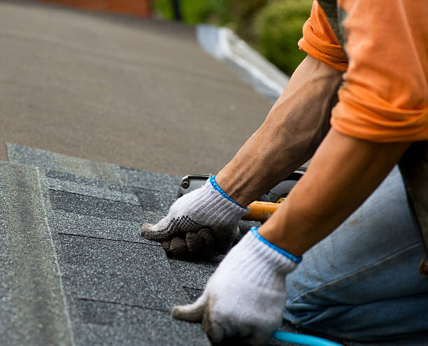 Best Roof Leak Repair  in Mill Plain, CT